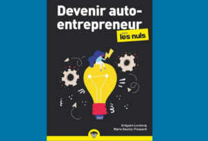 L'auto entrepreneur pour les nuls le livre